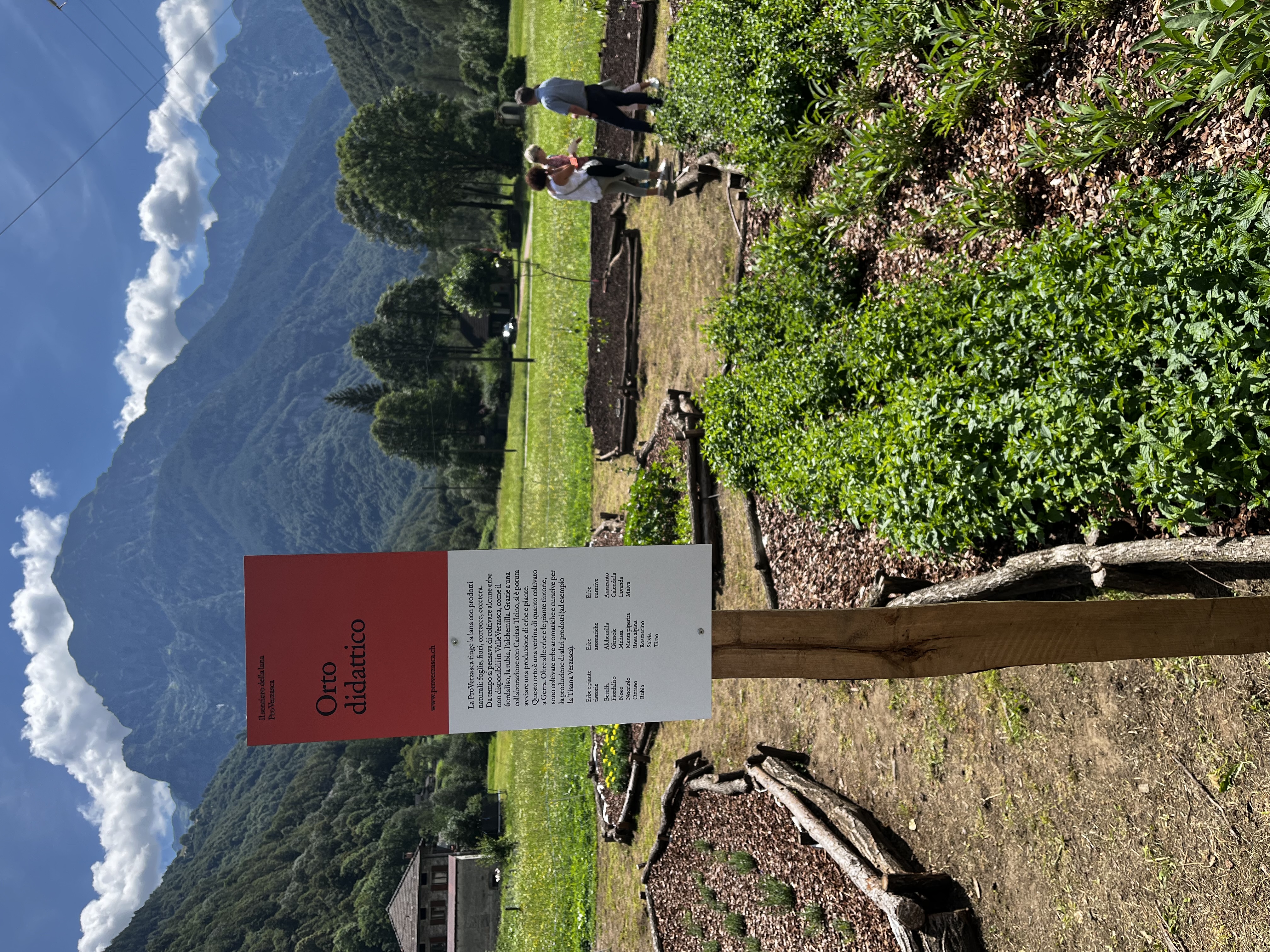 12_orto didattico.JPG